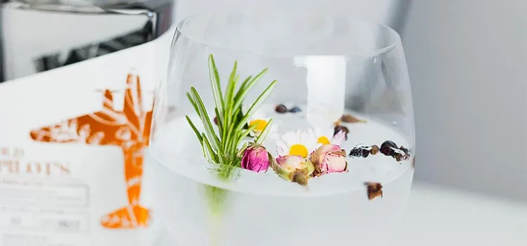 private chef cocktails